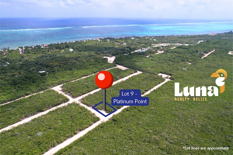 Lot #9 for Sale at Platinum Point