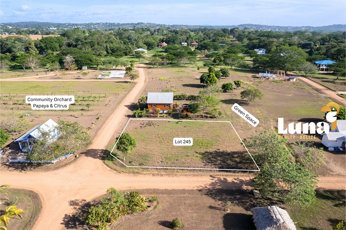 3. Lot 245 - showing greens space and orchard