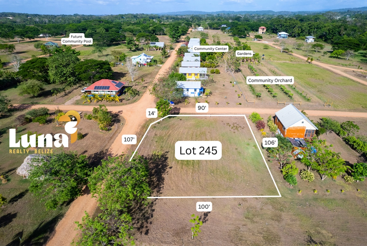4. Lot 245 for Sale