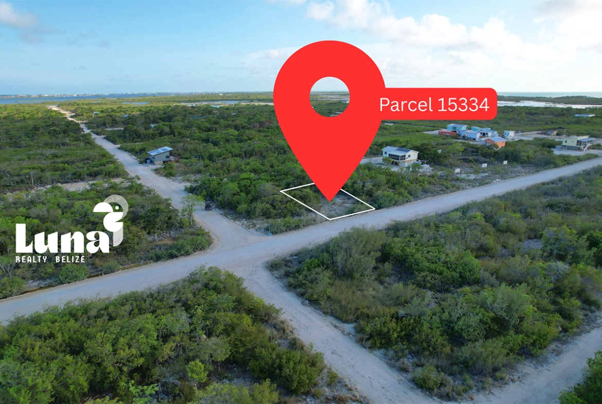 4. Parcel 15334