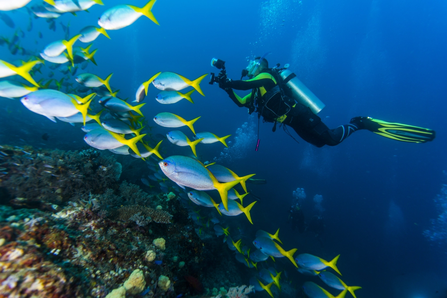 Diving-JV_20131112_075504