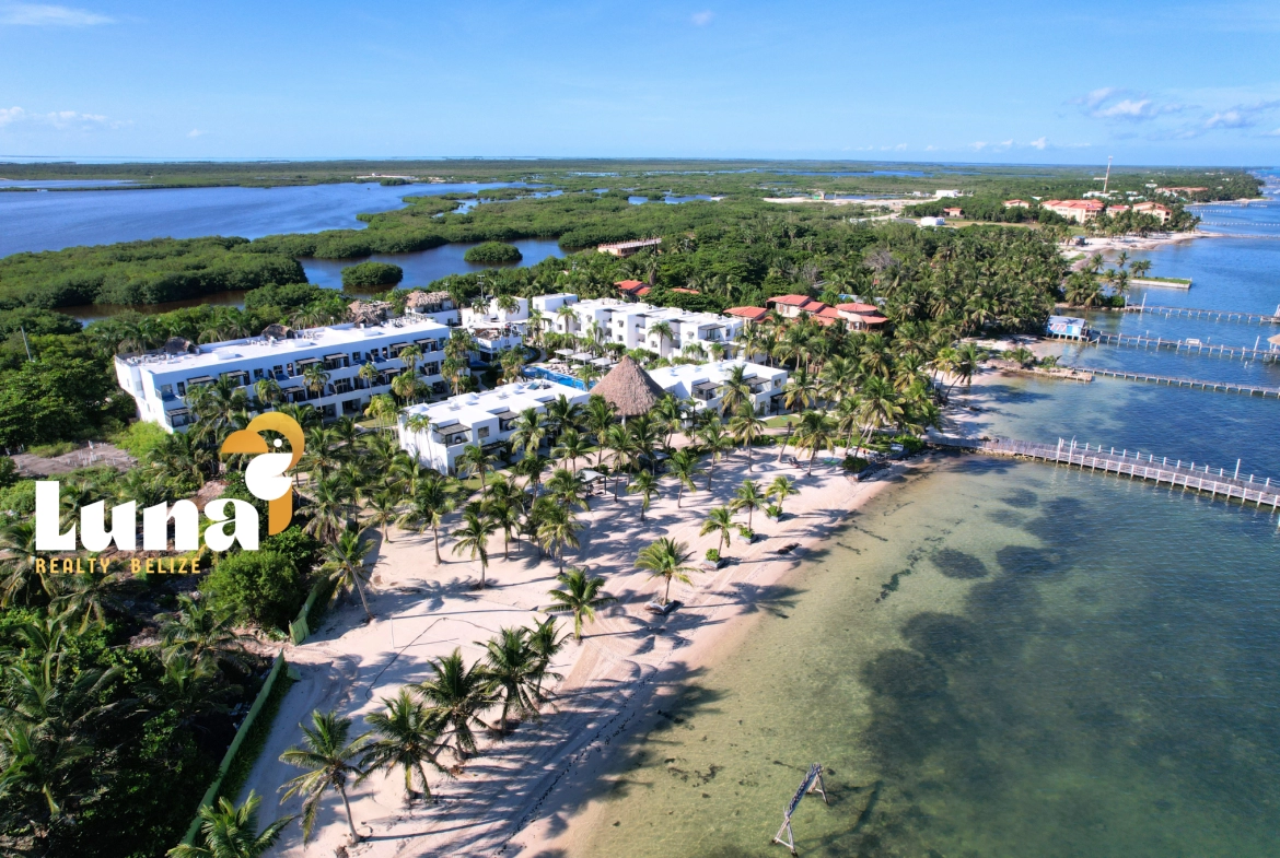 Las Terrazas, Belize - aerial drone