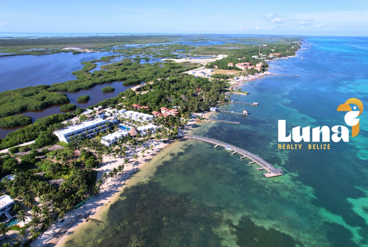 Las Terrazas - Aerial with whole dock