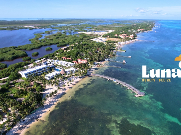 Las Terrazas - Aerial with whole dock